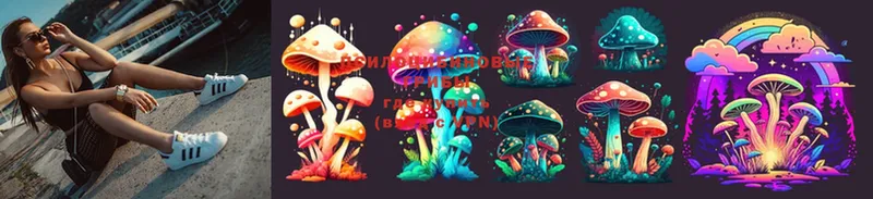 Псилоцибиновые грибы Psilocybine cubensis  Данилов 